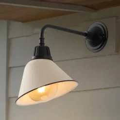 JONATHAN Y Croydon Farmhouse Industrial Indoor/Outdoor LED Gooseneck Sconce